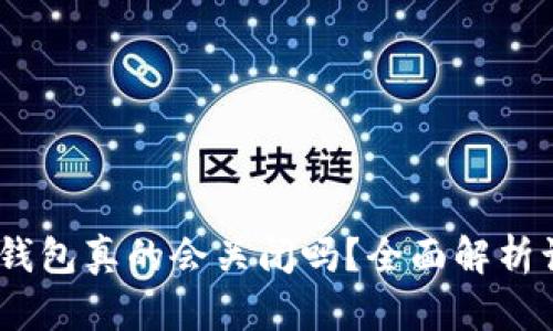 题目：虚拟币钱包真的会关闭吗？全面解析让你避免损失