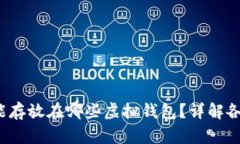 FIL币能存放在哪些虚拟钱