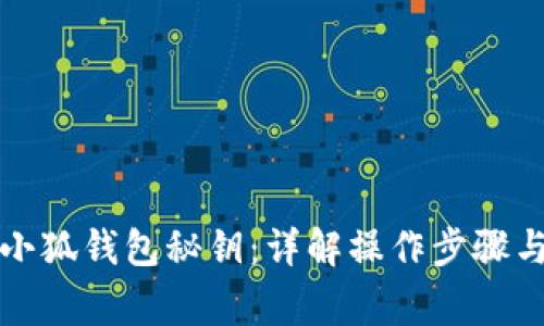 如何导入小狐钱包秘钥：详解操作步骤与注意事项