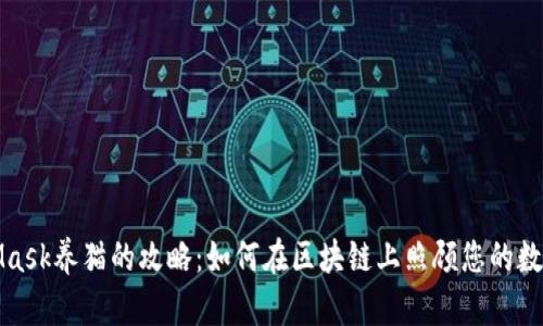 MetaMask养猫的攻略：如何在区块链上照顾您的数字宠物
