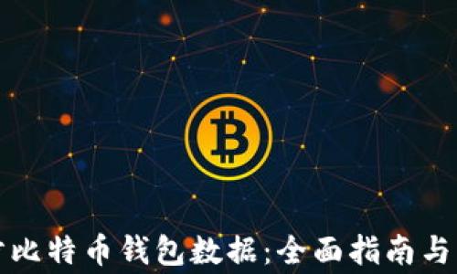 
如何高效同步比特币钱包数据：全面指南与常见问题解答