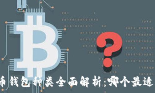   
比特币钱包种类全面解析：哪个最适合你？