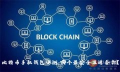 比特币手机钱包评测：哪