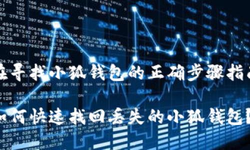在寻找小狐钱包的正确步骤指南

如何快速找回丢失的小狐钱包？