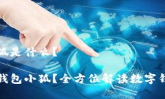 数字钱包小狐是什么？什