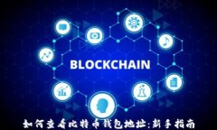 如何查看比特币钱包地址