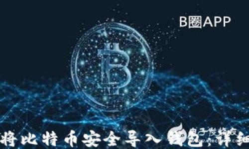
如何将比特币安全导入钱包：详细指南