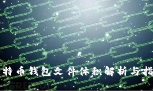比特币钱包文件体积解析与指南
