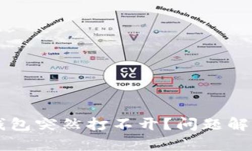 为何区块链钱包突然打不开？问题解析与解决方法