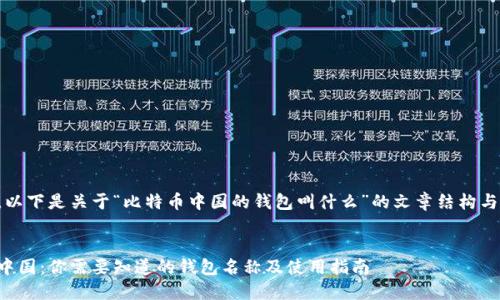 当然可以。以下是关于“比特币中国的钱包叫什么”的文章结构与内容大纲。


比特币在中国：你需要知道的钱包名称及使用指南