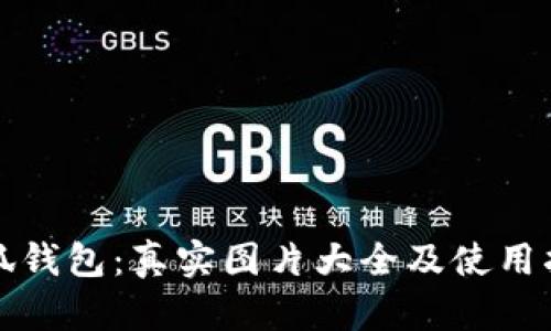 小狐钱包：真实图片大全及使用指南
