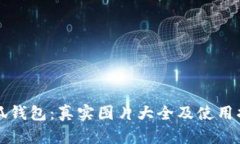 小狐钱包：真实图片大全