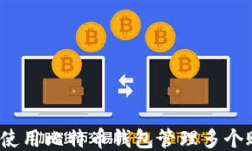 
如何使用比特币钱包管理多个账户？