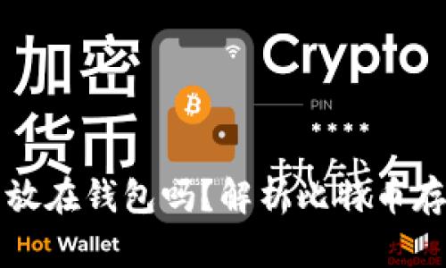 比特币可以不放在钱包吗？解析比特币存储的最佳实践
