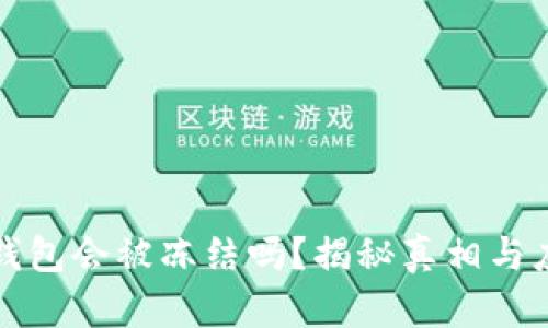 比特币钱包会被冻结吗？揭秘真相与应对策略