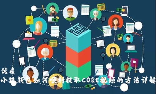 优质
小狐钱包如何顺利提取CORE视频的方法详解