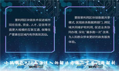 小狐钱包APP无法进入的解决方法及常见问题解析