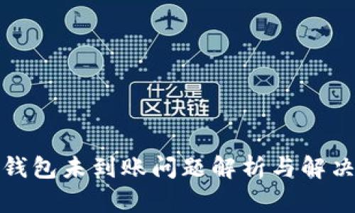 小狐钱包未到账问题解析与解决方案