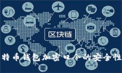 全面解析比特币钱包加密