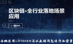  如何安全地使用LMTOKEM与以