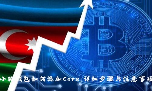 小狐钱包如何添加Core：详细步骤与注意事项