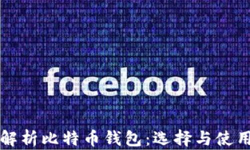 
全面解析比特币钱包：选择与使用指南