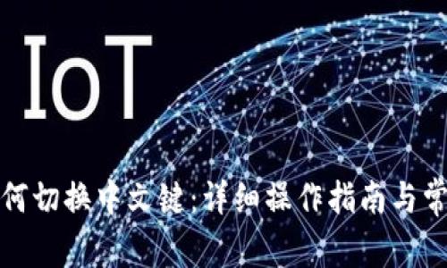 小狐钱包如何切换中文键：详细操作指南与常见问题解答