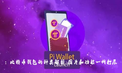: 比特币钱包的种类解析：图片和功能一网打尽
