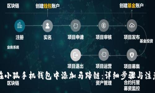如何在小狐手机钱包中添加马蹄链：详细步骤与注意事项