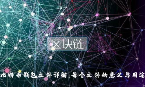 比特币钱包文件详解：每个文件的意义与用途