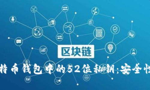 全面解析比特币钱包中的52位私钥：安全性与使用指南