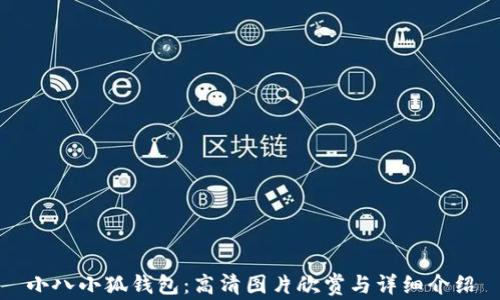 
小八小狐钱包：高清图片欣赏与详细介绍