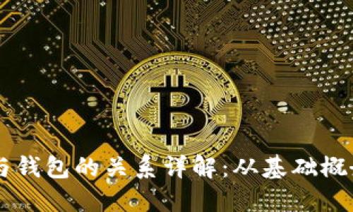区块链节点与钱包的关系详解：从基础概念到实际应用