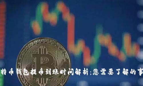 比特币钱包提币到账时间解析：您需要了解的事项