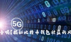 比特币钱包安全吗？揭秘