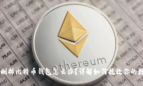 不小心删掉比特币钱包怎么办？详解如何挽救你的数字资产