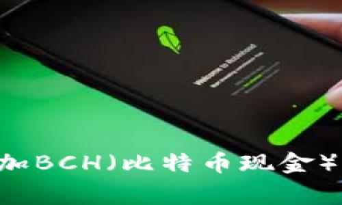 如何在小狐钱包中添加BCH（比特币现金）：详细指南与常见问题