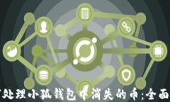 如何处理小狐钱包中消失