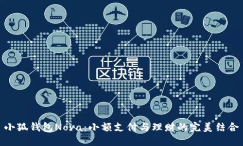小狐钱包Nova：小额支付与理财的完美结合