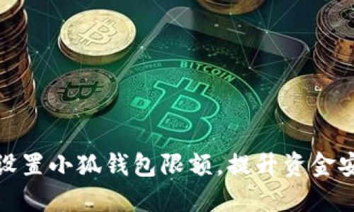 如何设置小狐钱包限额，提升资金安全性