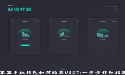 
苹果手机钱包如何购买USDT：一步步详细指南