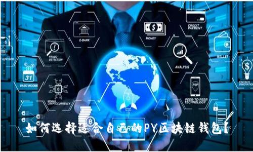 如何选择适合自己的PY区块链钱包？