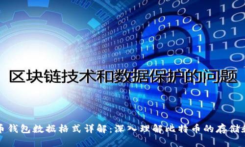 比特币钱包数据格式详解：深入理解比特币的存储和管理