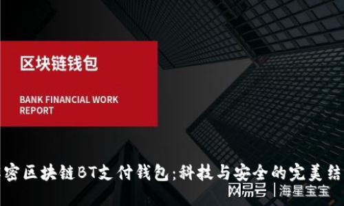 解密区块链BT支付钱包：科技与安全的完美结合