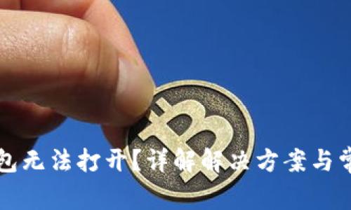 虚拟钱包无法打开？详解解决方案与常见问题