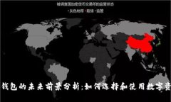 区块链钱包的未来前景分