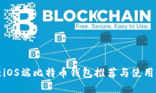 最强iOS端比特币钱包推荐与使用指南