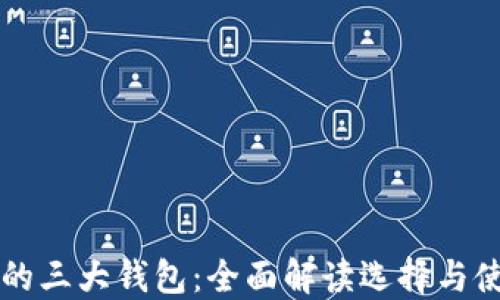 
区块链的三大钱包：全面解读选择与使用技巧