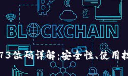 比特币钱包的73位码详解：安全性、使用技巧与常见问题
