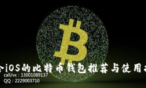 适合iOS的比特币钱包推荐与使用指南